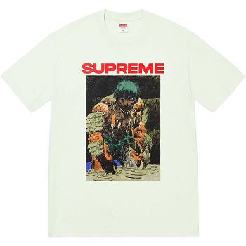 Supreme Ronin Tee T Shirts Mintgrønne | DK353EX