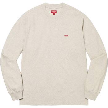 Supreme Small Box L/S Tee Trøjer Beige | DK248WY